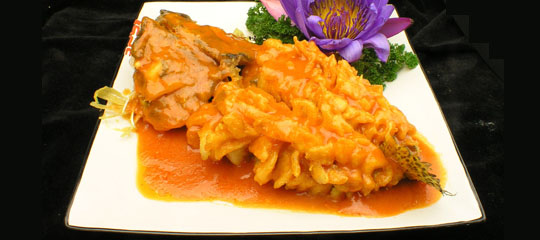 松鼠桂魚(yú)