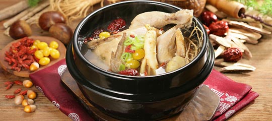 參雞湯